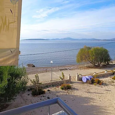 Finikas Íria