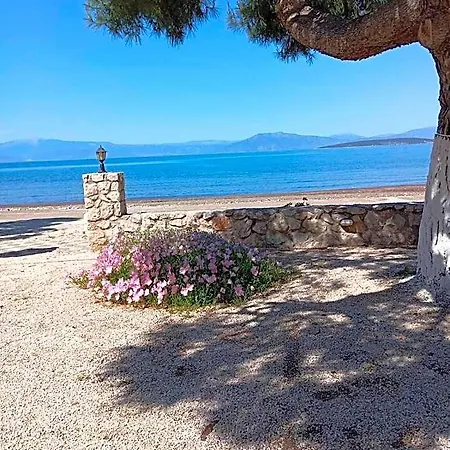 Finikas Hotel Iria