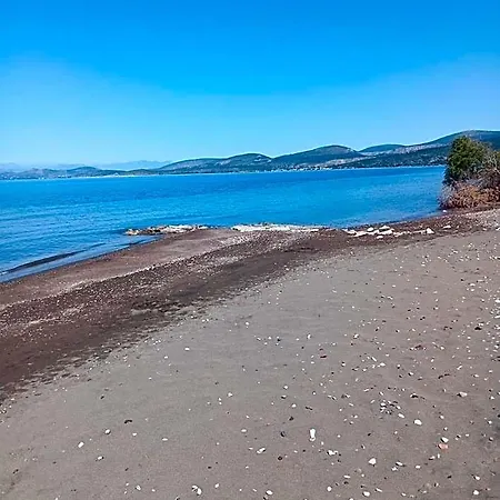 Finikas Iria